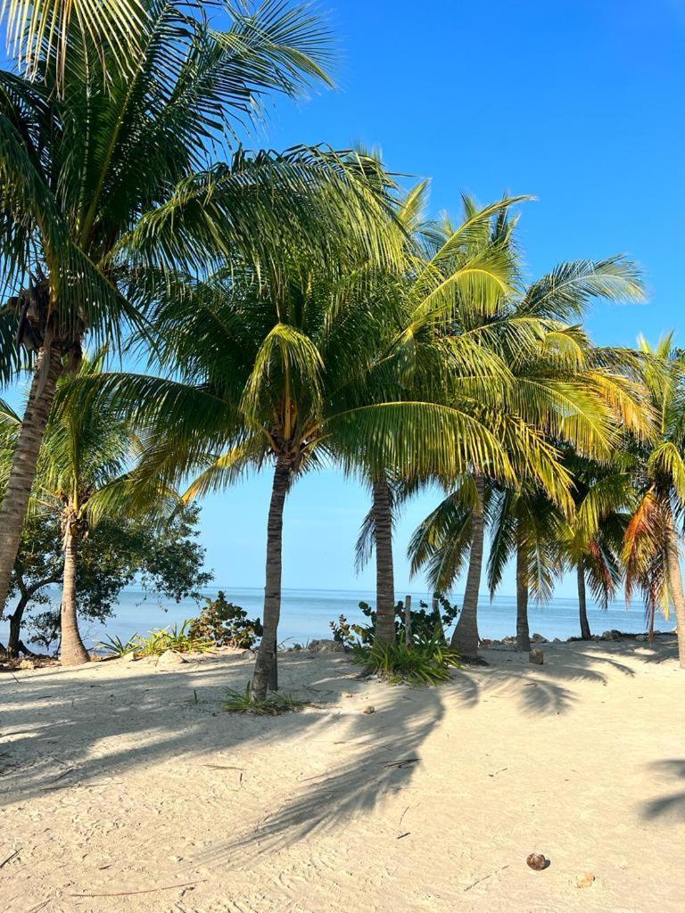 Casa Calamar Isla Holbox Bagian luar foto